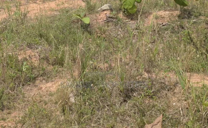 1 Plot of Titled Land for Sale