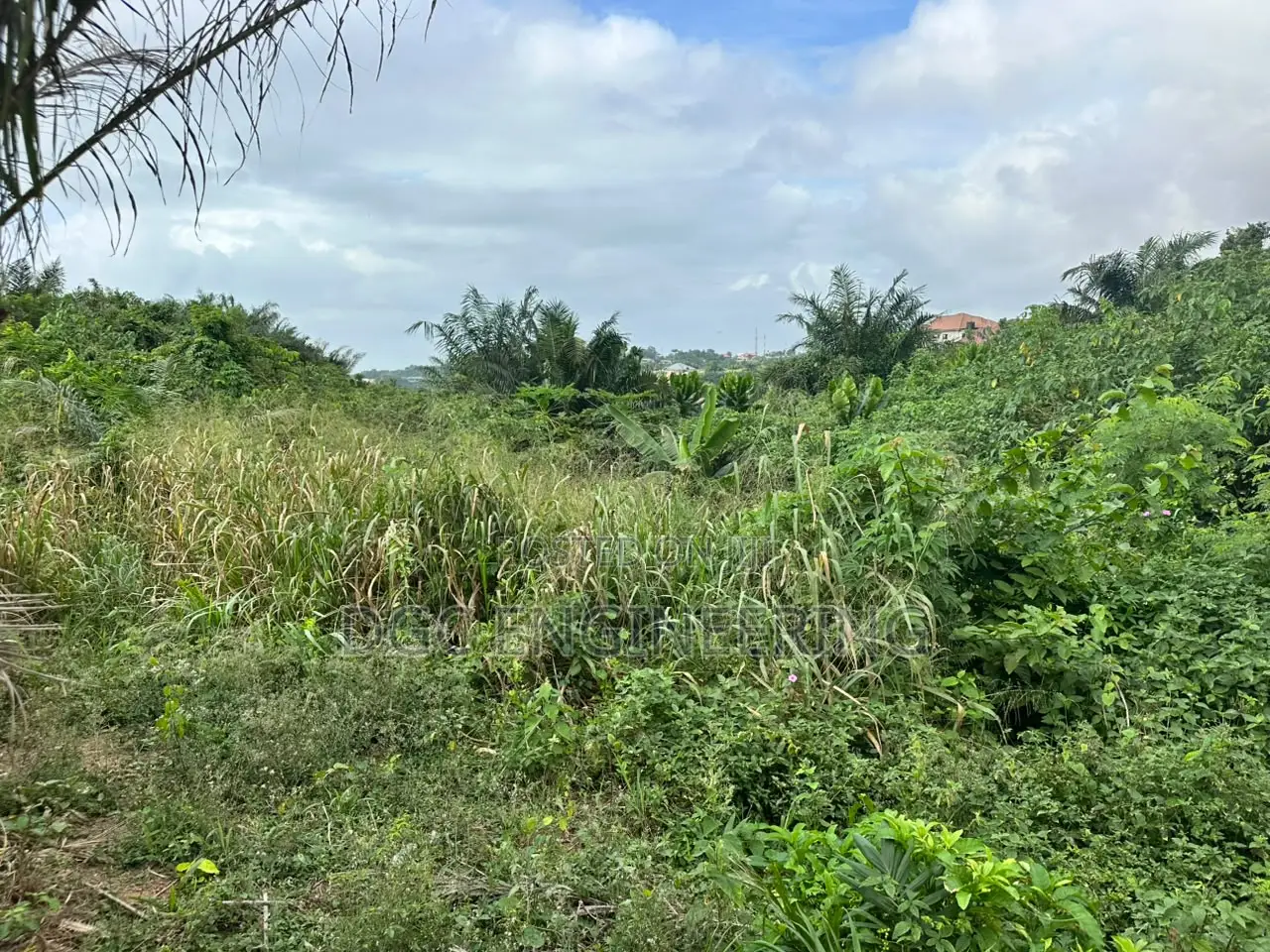 Registered Plot of Land