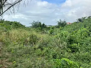 Registered Plot of Land