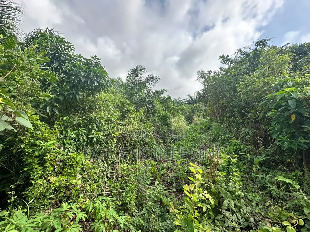 Registered Plot of Land