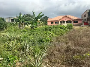 Registered Plot of Land