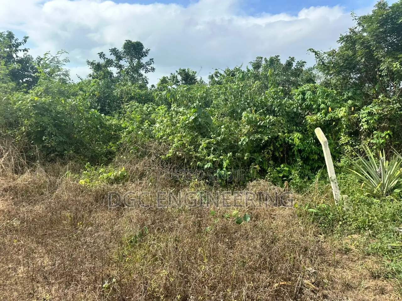 Registered Plot of Land