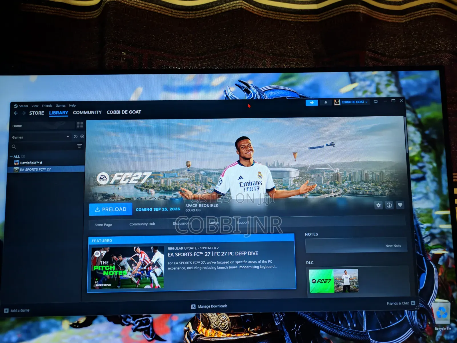 FC 27 Steam Offline Account
