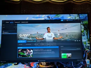 FC 27 Steam Offline Account