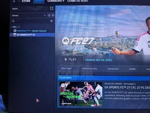FC 27 Steam Offline Account