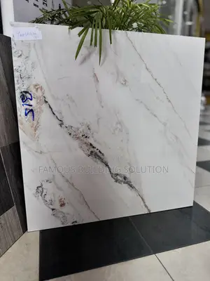 Twyford 60/60 Polished Tiles