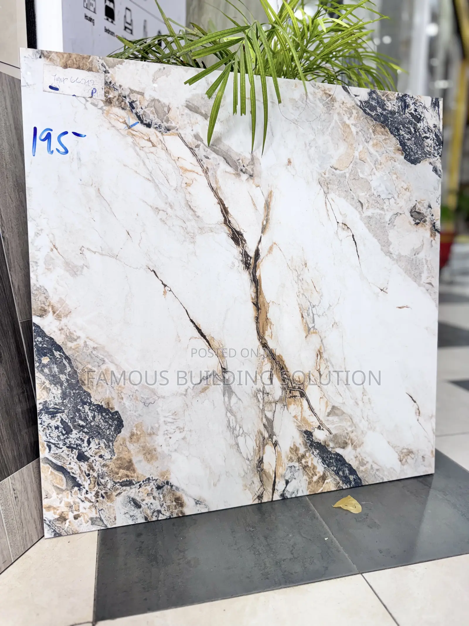 Twyford 60/60 Polished Tiles