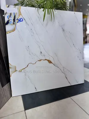 Twyford 60/60 Polished Tiles