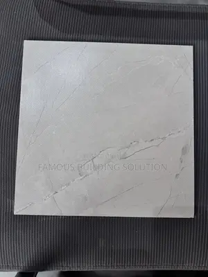Made in India 30/30 Floor Tiles