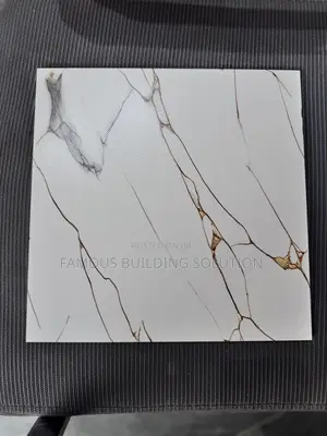 Made in India 30/30 Floor Tiles