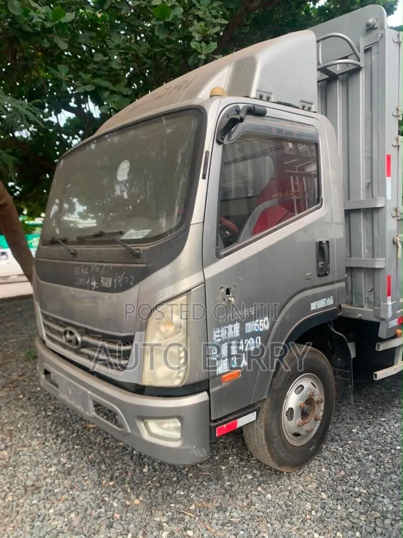 2021 Hyundai Hongtu 500