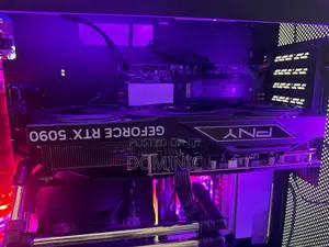 Pny RTX 5090