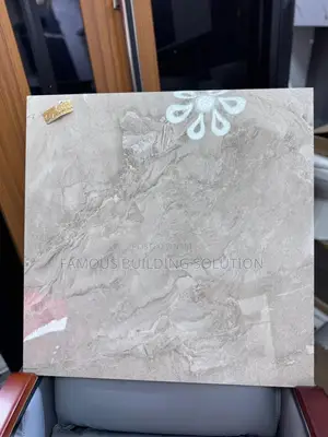 60/60 Made in India Floor Tiles