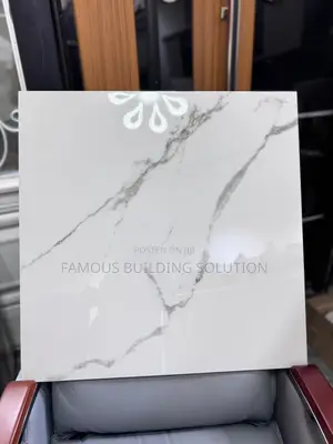 60/60 Made in India Floor Tiles