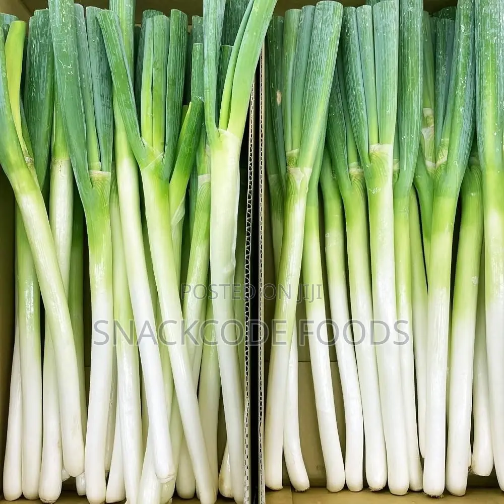 Fresh Leek