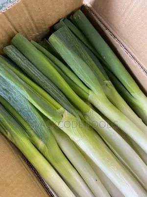 Fresh Leek
