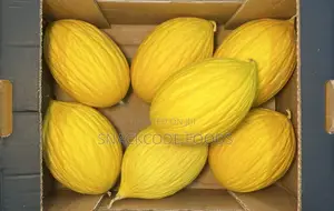 Melon Yellow