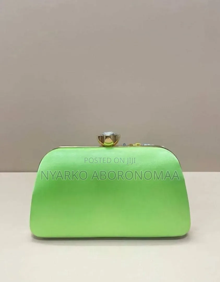 Classy Elegant Statement Ladies Clutch Bag