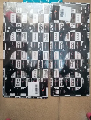 Premium Ultra Power Chrysler 300, Charger Head Gasket From USA