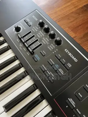Roland Juno Ds + Free Bag