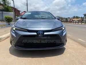 Toyota Corolla LE 2024 Gray