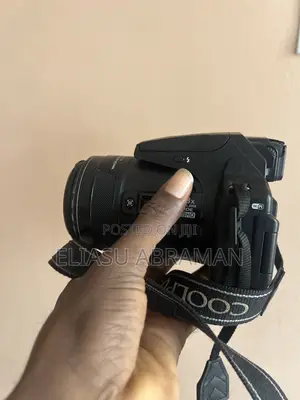 Nikon P900