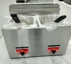 2 Tank 2 Basket Deep Fryer Equipment (Table Top)