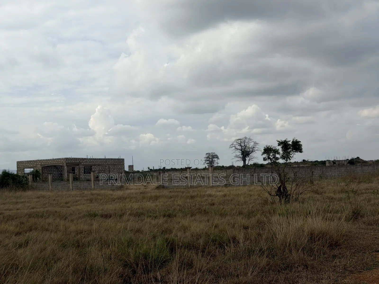 : Suitable for the Future (Afienya): 