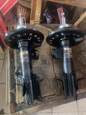 Shocks Moroe and Suspensions
