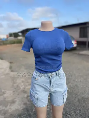 Blue Ribbed Short Sleeve Fitted Top