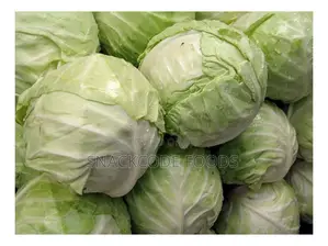 Cabbage White