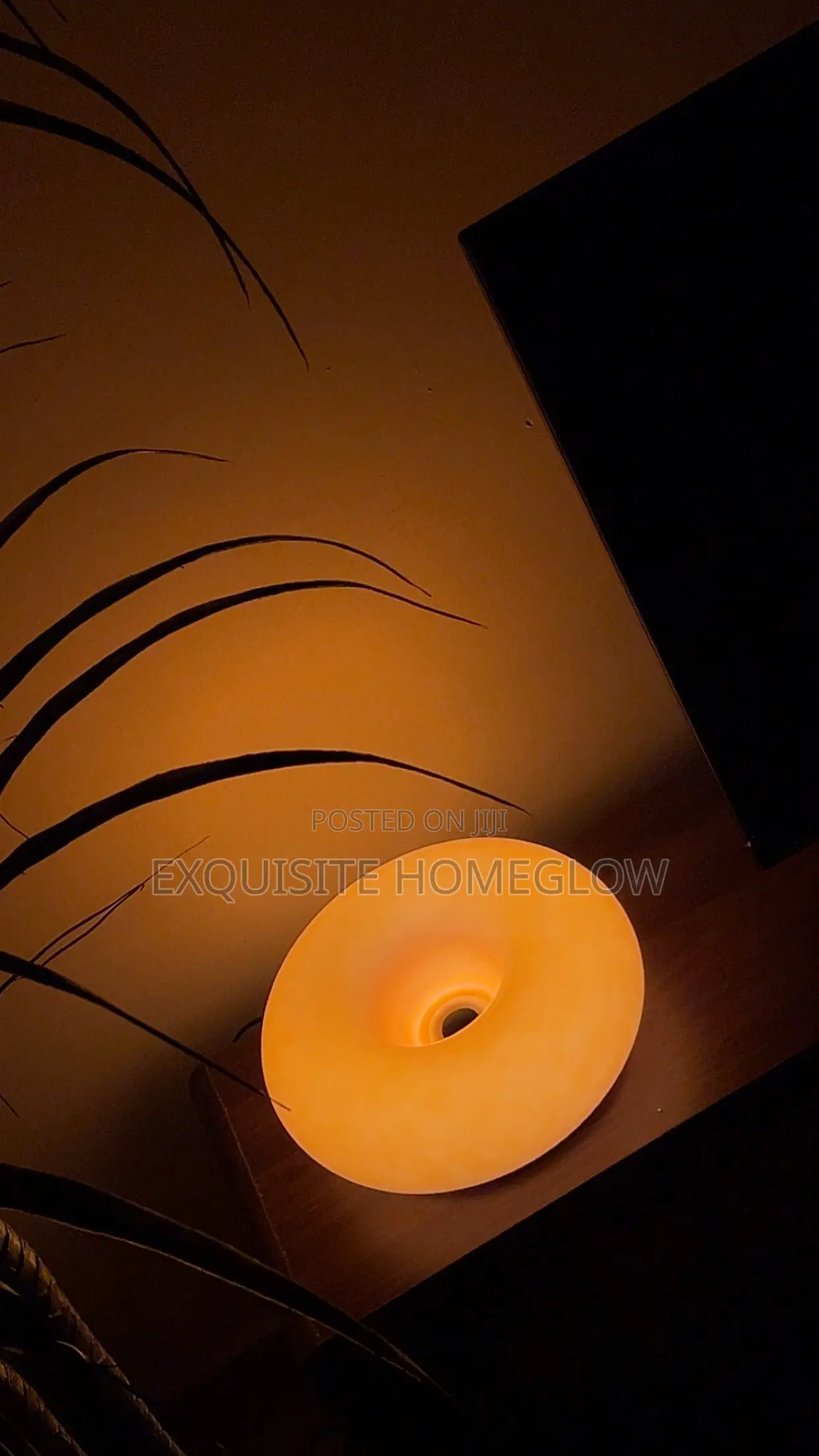 Donut Led Atmosphere Lamp