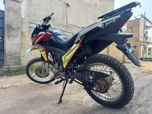Royal Racer 2025 Black