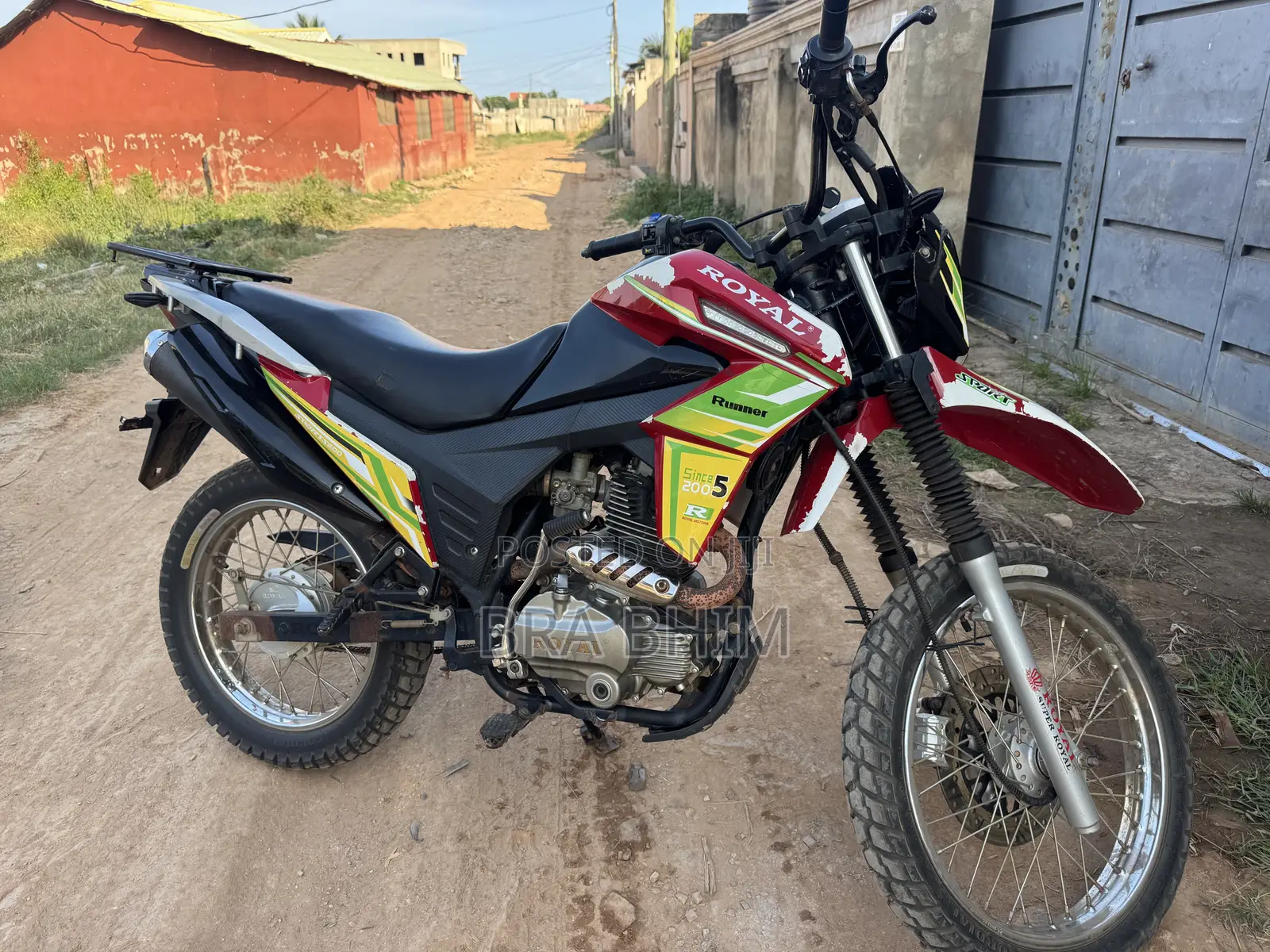 Royal Racer 2025 Black