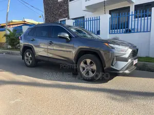 Toyota RAV4 XLE AWD 2023 Gray