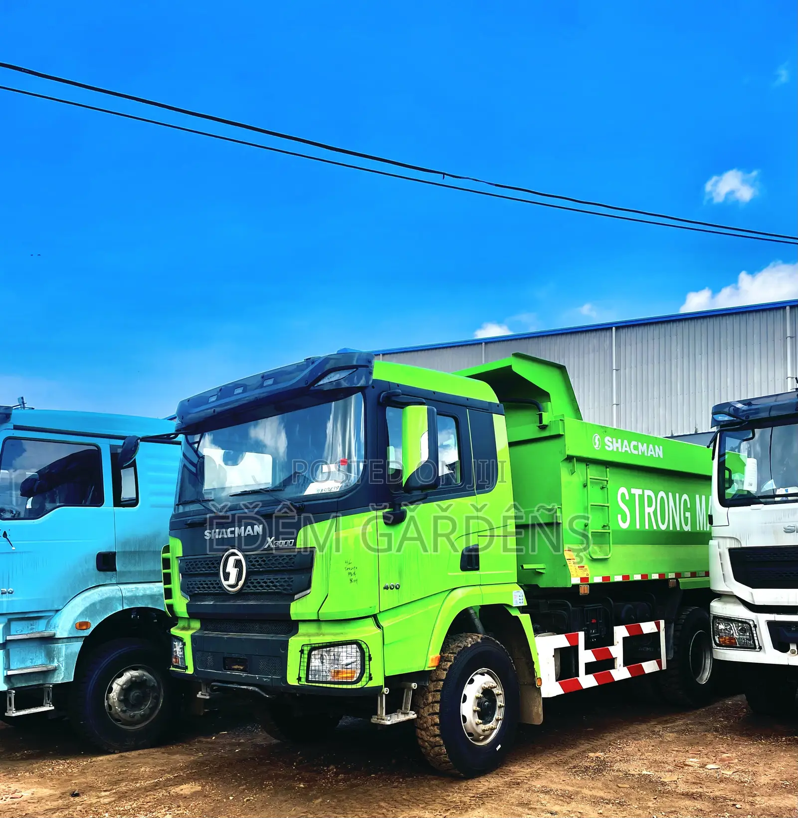 Shacman Tippers for Sale