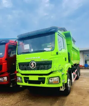Shacman Tippers for Sale