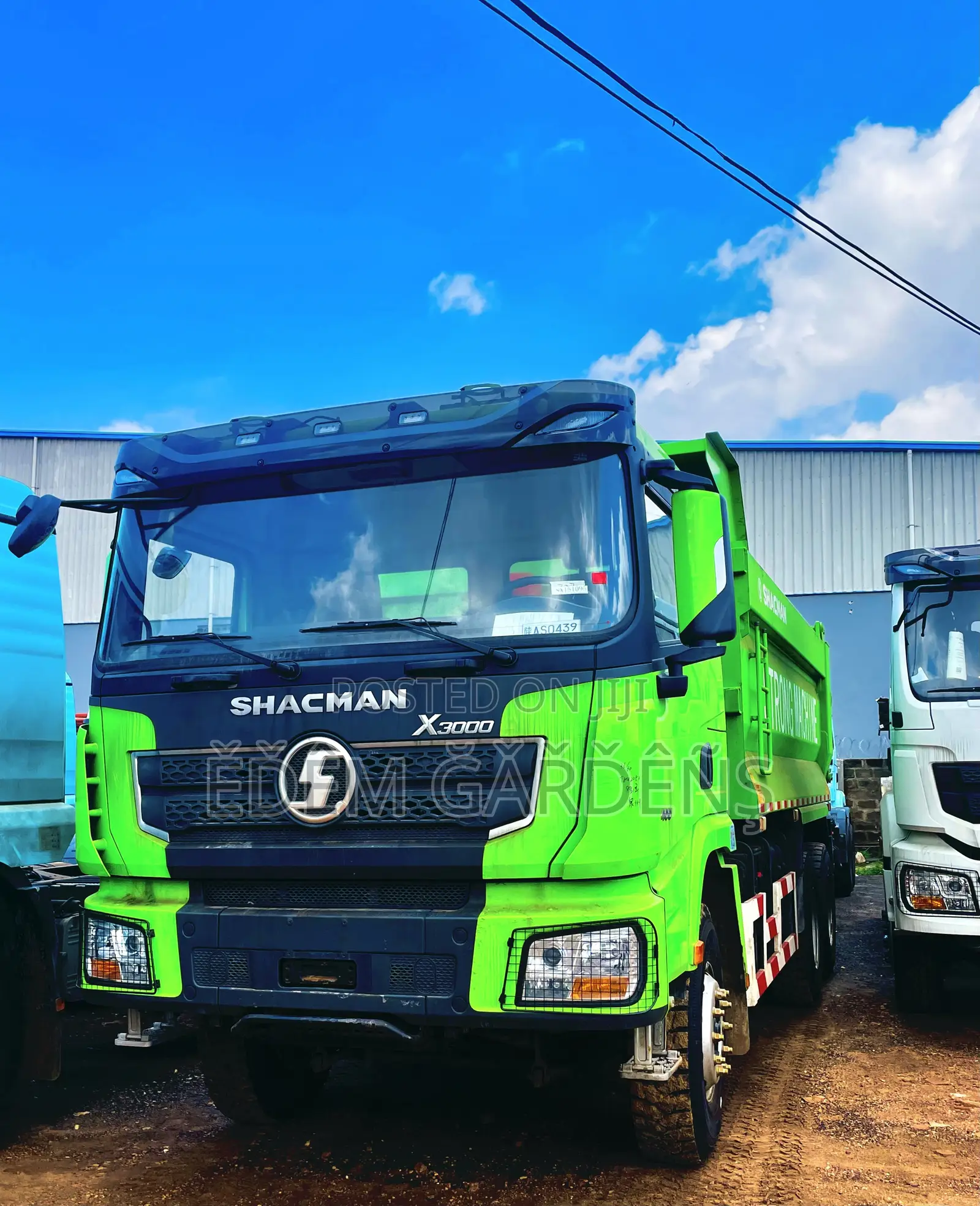 Shacman Tippers for Sale