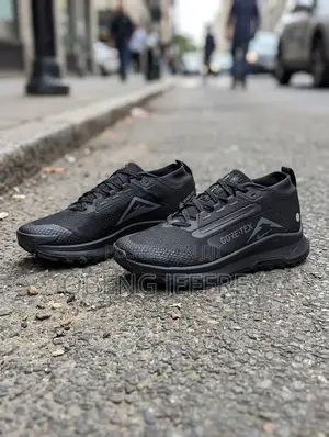 Original Nike Pegasus Trail 5 Goretex All Black