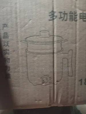 Mini Electric Cooking Pot