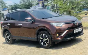 Toyota RAV4 Limited AWD (2.5L 4cyl 6A) 2017 Brown