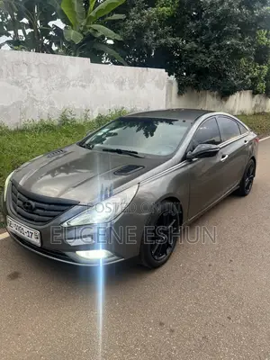 Hyundai Sonata 2014 Gray