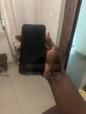 Apple iPhone 16 Pro Max 256 GB Gray