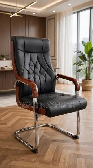 Luxury Visitors Chair