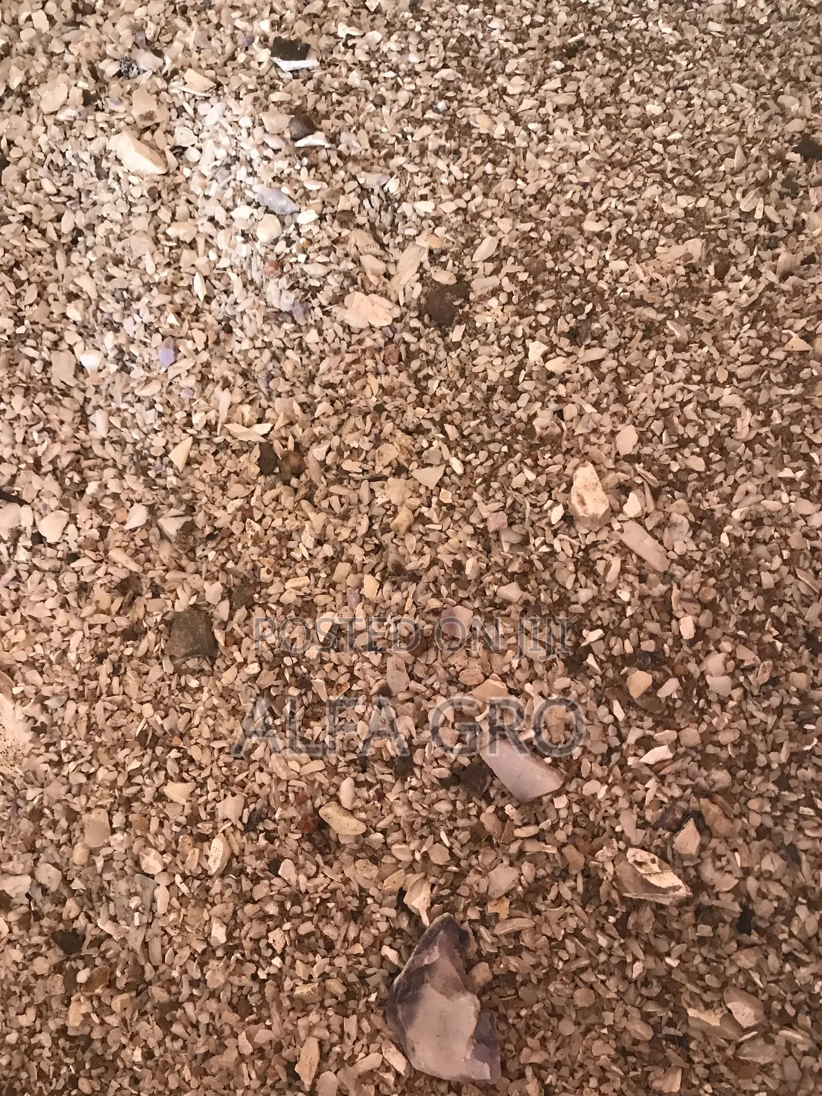 Oyster Shells(50kg)