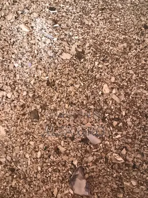 Oyster Shells(50kg)
