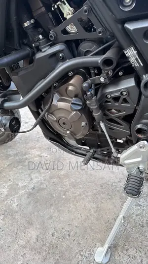 Yamaha 2024 Green