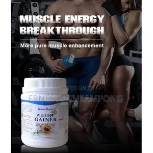 Wins Town Weight Gainer – High Protein Mass Gainer Supplement