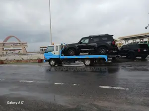 Professional Towing Service