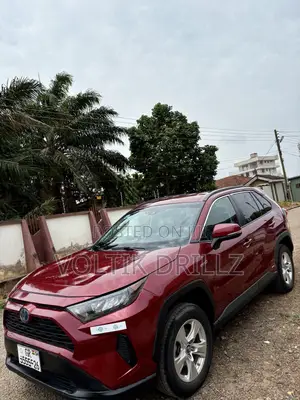 Toyota RAV4 LE AWD 2019 Red